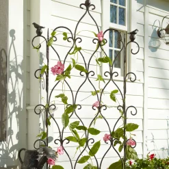 Bird On Ball Trellis