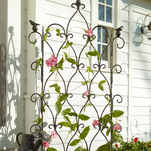 Bird On Ball Trellis