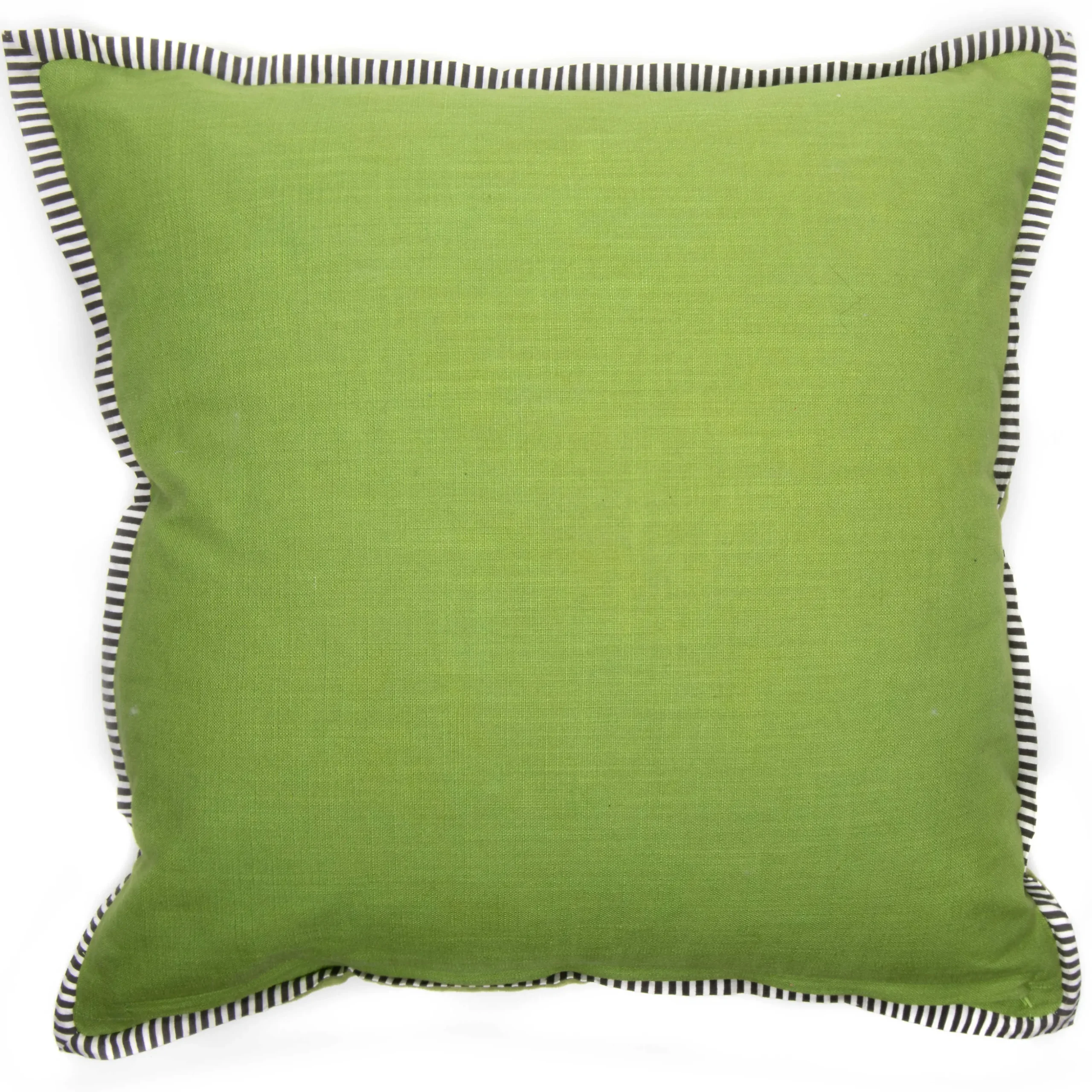 Bird Watchers Pillow