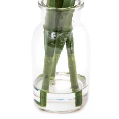 Fresh Picks - Daffodil