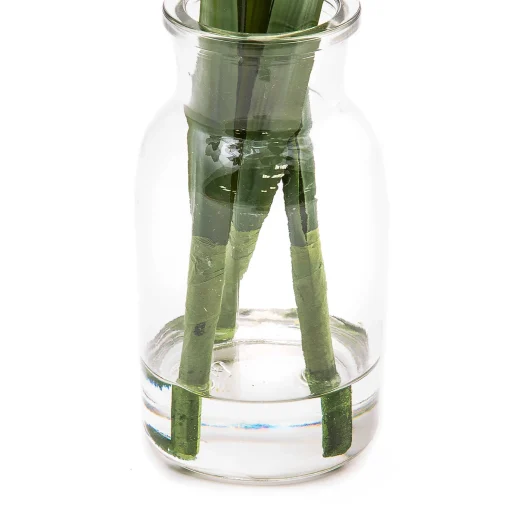 Fresh Picks - Daffodil