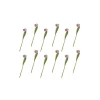 Parrot Tulip Bouquet - Pink - Set Of 12