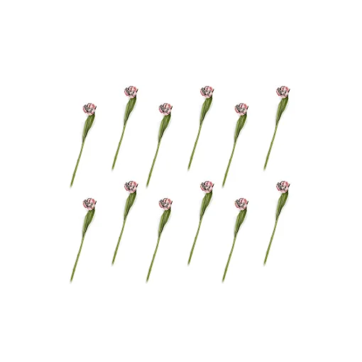 Parrot Tulip Bouquet - Pink - Set Of 12