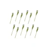Parrot Tulip Bouquet - Yellow - Set Of 12
